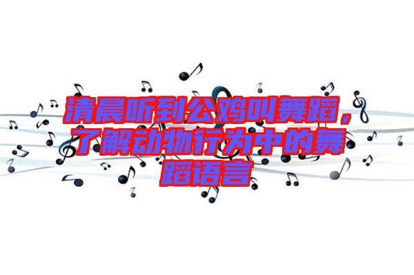 清晨聽到公雞叫舞蹈，了解動物行為中的舞蹈語言