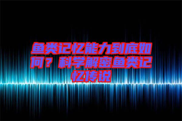 魚類記憶能力到底如何？科學(xué)解密魚類記憶傳說
