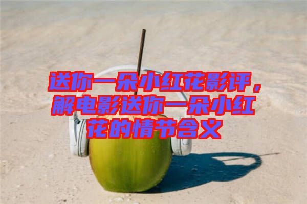 送你一朵小紅花影評，解電影送你一朵小紅花的情節(jié)含義