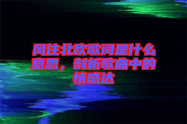 風往北吹歌詞是什么意思，剖析歌曲中的情感達