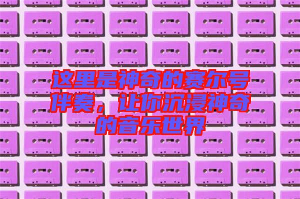這里是神奇的賽爾號伴奏，讓你沉浸神奇的音樂世界