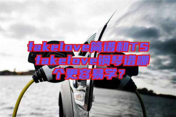 fakelove簡譜和TS fakelove鋼琴譜哪個(gè)更容易學(xué)？