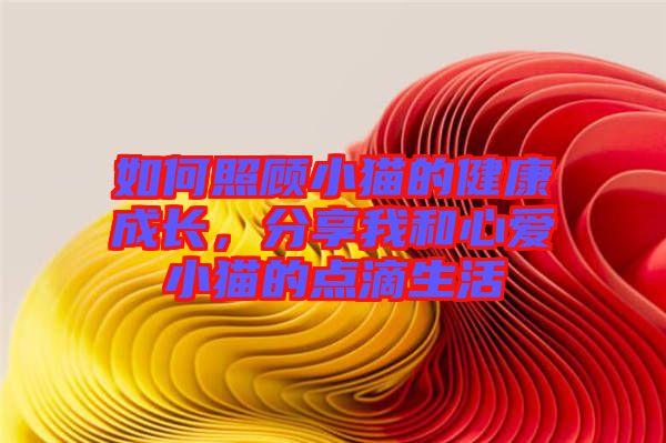 如何照顧小貓的健康成長，分享我和心愛小貓的點滴生活