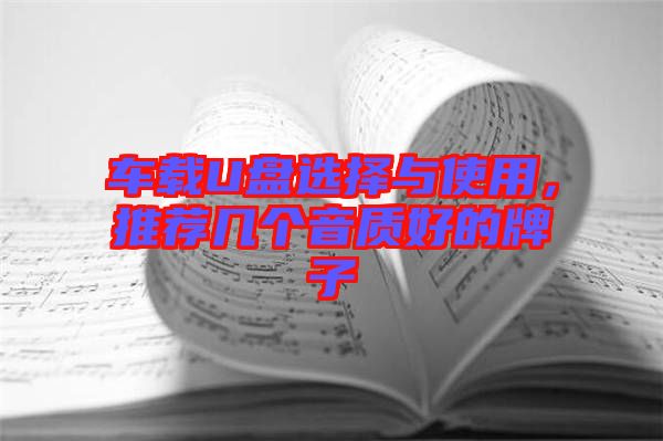 車載U盤選擇與使用，推薦幾個(gè)音質(zhì)好的牌子
