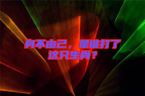 身不由己，是誰打了這只生肖？