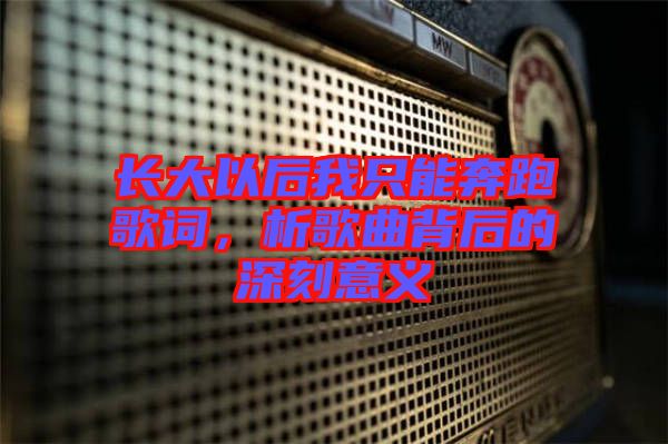 長大以后我只能奔跑歌詞，析歌曲背后的深刻意義