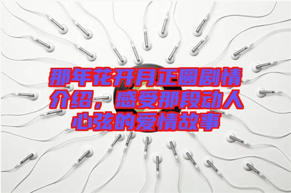 那年花開月正圓劇情介紹，感受那段動人心弦的愛情故事