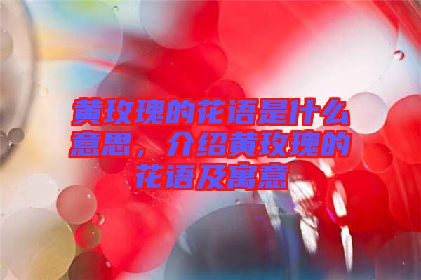 黃玫瑰的花語是什么意思，介紹黃玫瑰的花語及寓意