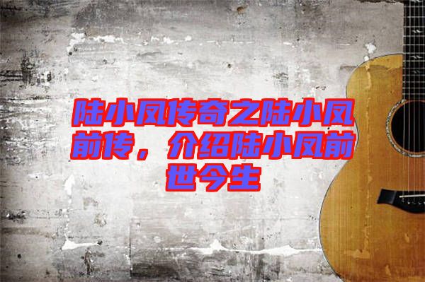 陸小鳳傳奇之陸小鳳前傳，介紹陸小鳳前世今生