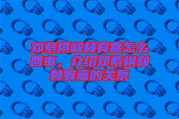 鄧紫棋和林宥嘉怎么回事，介紹鄧紫棋和林宥嘉的關系
