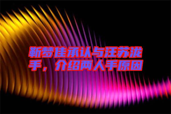 靳夢(mèng)佳承認(rèn)與汪蘇瀧手，介紹兩人手原因