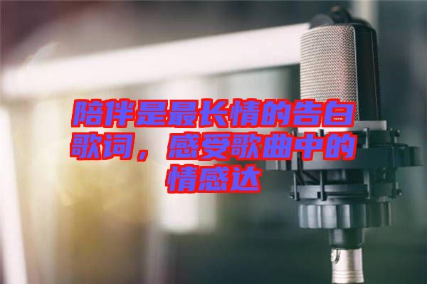 陪伴是最長情的告白歌詞，感受歌曲中的情感達(dá)