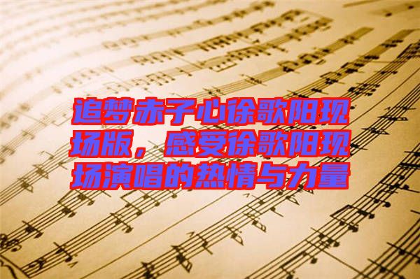 追夢(mèng)赤子心徐歌陽現(xiàn)場(chǎng)版，感受徐歌陽現(xiàn)場(chǎng)演唱的熱情與力量