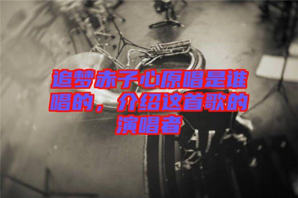 追夢(mèng)赤子心原唱是誰唱的，介紹這首歌的演唱者