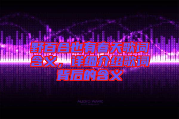 野百合也有春天歌詞含義，詳細(xì)介紹歌詞背后的含義