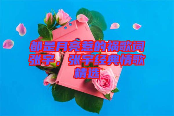 都是月亮惹的禍歌詞張宇，張宇經(jīng)典情歌精選
